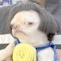  ♾THANA Sira.895💚🐷🎏